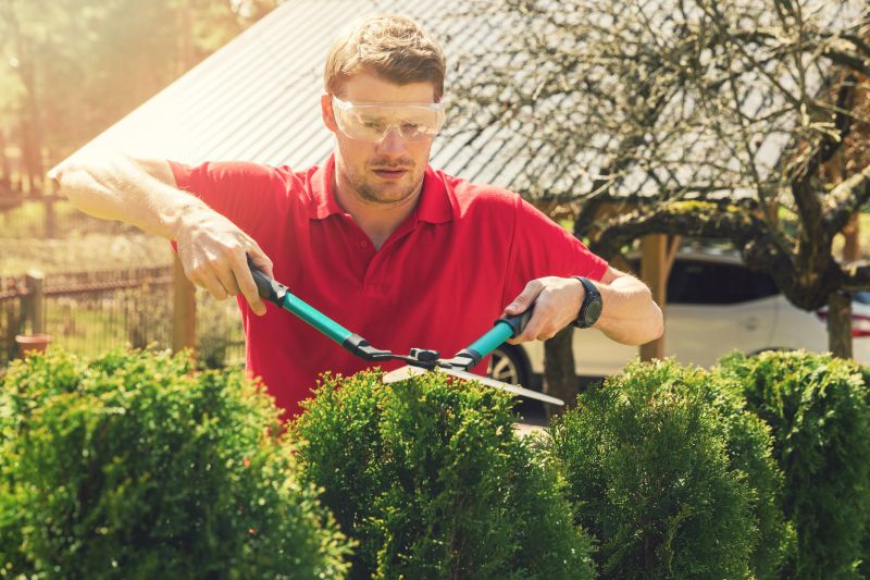 Bush Relocation in Ventura County, CA