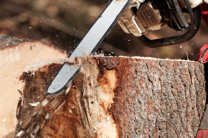 Dead Tree Removal in Reno, NV