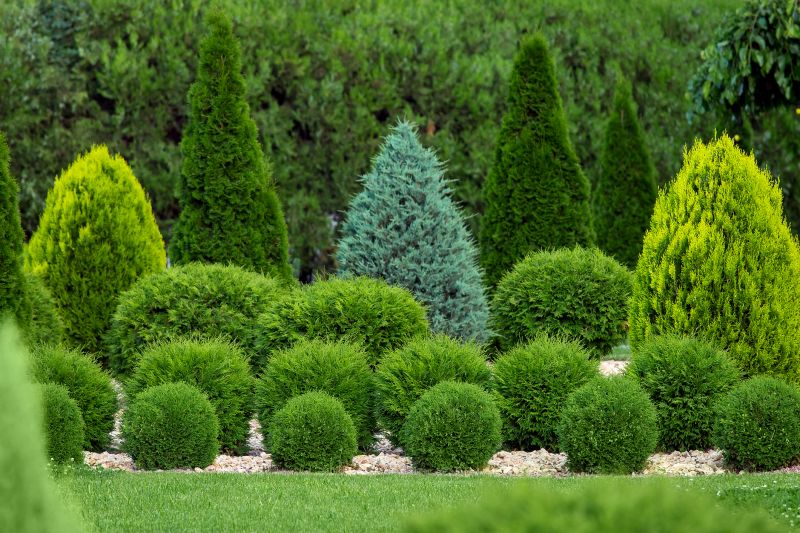 Shrubs with Precise Shaping