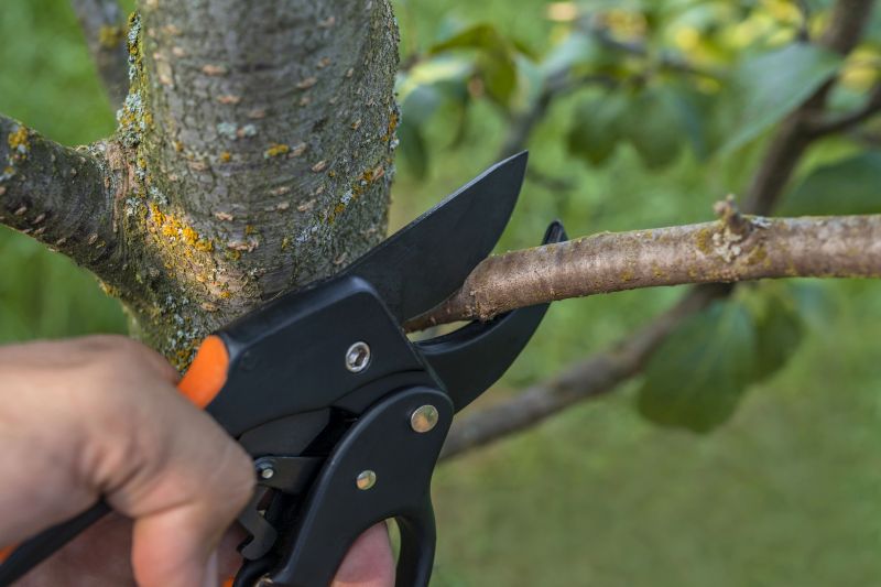 Specialized Shrub Pruners